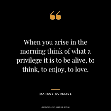 Top 60 Marcus Aurelius Quotes On Life Love