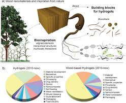 To be honest i don't know what stripe is, but everything that's blocked in china is likely blocked for one of the following reasons: Plant Nanomaterials And Inspiration From Nature Water Interactions And Hierarchically Structured Hydrogels Ajdary Advanced Materials Wiley Online Library