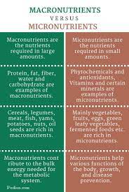 As implied by its name, your body needs smaller amounts of micronutrients relative to macronutrients. Difference Between Macronutrients And Micronutrients Micronutrients Macronutrients Micro Nutrients