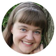 Stolen Identity Book by Lucia Van Der Gulik