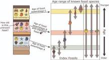 How do you date rocks and fossils?