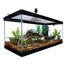Aqua Culture 10 Gallon Turtle Aquatic Reptile Habitat Starter Kit Walmart Com Turtle Aquarium Reptile Habitat Turtle Habitat
