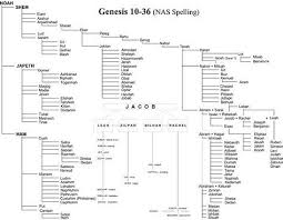 Image Result For Bible Family Tree Adam To Jesus Bible