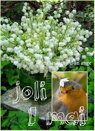 Les meilleurs images gratuites de muguet pour facebook, whatsapp, messenger. 23 Images Et Photos Avec Tag Muguet Bonnesimages