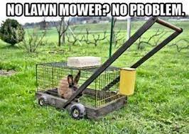 Lawn Mower Memes