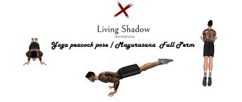 We did not find results for: Second Life Marketplace Living Shadow Yoga Peacock Pose Mayurasana Full Perm