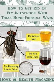 Being Indoor Or Outside The Crowd Of Unwanted Houseflies Is There It Seems That It Is Nearly Im Get Rid Of Flies Natural Repellent Natural Mosquito Repellant