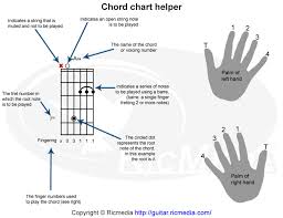 Guitar Chords Beginners Online Charts Collection