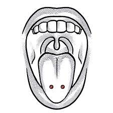 Questo tipo di piercing sembra essere sessualmente il più stimolante nei rapporti sessuali per la donna, perché va a stimolare i punti più sensibili all'interno della vagina, come il punto g. Venom Piercing Venom S Piercing Studio Wien