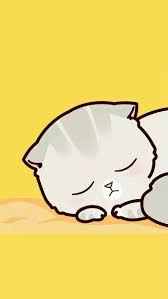  Pin Oleh Glyph Di Couple Wallpaper Kucing Kartun Animasi