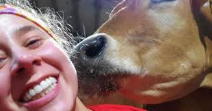 Love for cows sets future path