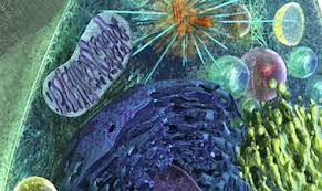 Biology of water and health from tufts ocw · 5. Learn Biology With Online Courses And Lessons Edx