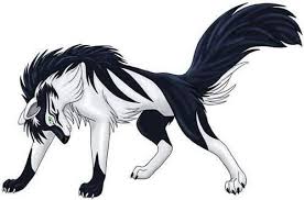 Share the best gifs now >>>. A Black And White Wolf Anime Anime Wolf Wolf Pictures Animal Art