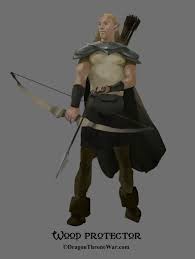 Wood Elves Army Protector Wood Elf Paladin Zelda Characters
