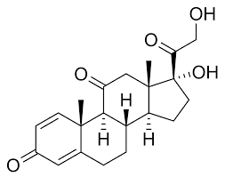 Prednisone Wikipedia