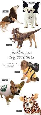 6 Dog Halloween Costume Ideas For You Your Pooch Pretty Fluffy Dog Halloween Costumes Dog Halloween Dog Costumes