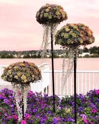 Turn Your Garden Into An Outdoor Aquarium With Succulent Jelly Fish Hanging Planters Hanging Succulents Succulents Succulent Garden Diy