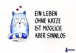 Sie lebt durch ihn mehr im hier und jetzt, ihr gelingt es, auch die kleinen dinge zu genießen. Pin Von Feliway De Auf Katzen Zitate Und Spruche Katzen Katzen Zitate Zitate Uber Katzen