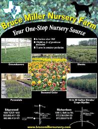 Some of the employees are great. Bruce Miller Nursery Bruce Miller Nurseries Edgewood Tx