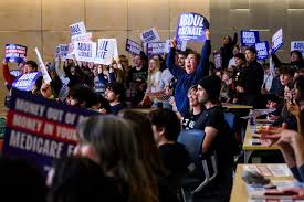 Michigan U.S. Senate 'primary storm' captivates, but worries Democrats