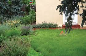 Naturalawn of america in the city denver by the address 1677 s acoma st, denver, co 80223, united states Landscape Trends Experts Choices For Xeric Turfgrass More