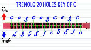 Tune Basics 20 Hole Tremolo Harmonica Note Positions Harmonica Positivity Notes
