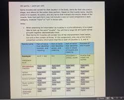 Thousands, or even tens of thousands, of small fibers make up each muscle. The Names Of Muscles Assignment 20 Points 1 Point Chegg Com