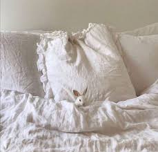 Tumblr Tavsan 2020 Instagram Sevimli Kediler Kedi