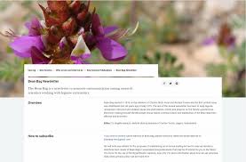 Image result for Eriosema rhynchosioides