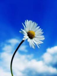 Bebi romeo feat ahmad dhani bunga terakhir haha lucu nih. Bunga Terakhir Home Facebook