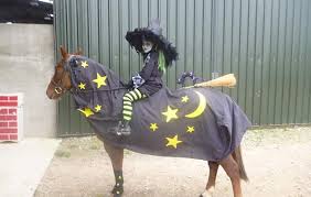 Maybe you would like to learn more about one of these? Halloween Horse Costumes