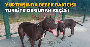 Turkiye De Gunah Kecisi Yurtdisinda Bebek Bakicisi Iz Gazete Izmir In Gazetesi