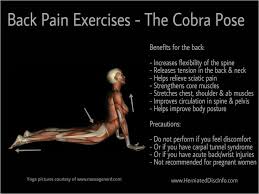 Cobra Pose Helps Make The Muscles In The Back Stronger Herniated Disc Exercise Cobra Pose Exercise