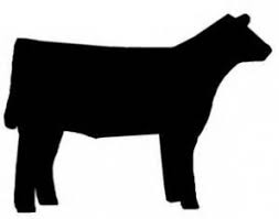 Show Heifer Silhouette Show Cows Show Cattle Heifer