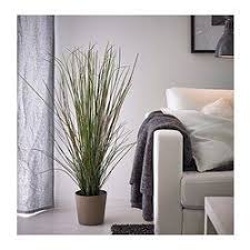 Fejka Artificial Potted Plant Grass Ikea Artificial Potted Plants Artificial Plant Arrangements Artificial Plants