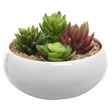 Dia distressed white ceramic round flower pot planter home depot $ 304.62. Modern Round White Ceramic Succulent Plant Flower Planter Pot Decorative Centerpiece Display Bowl Ceramic Succulent Ceramic Succulent Planter Succulents