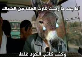 pin by yara on memes girly art art memes