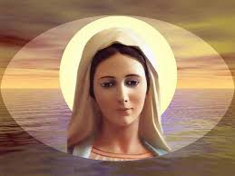 Sito della associazione apostoli della divina misericordia con maria regina della pace o.n.l.u.s., sito che nasce dall'esigenza di dare un piccolo contributo alla diffusione del culto alla divina misericordia alla scuola della regina della pace. Lode A Maria 16 Febbraio 2019 Regina Della Pace Nel Mondo Prega Per Noi Papaboys 3 0