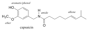 10 2 Functional Groups Chem 1114 Introduction To Chemistry