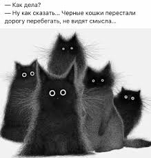 pin ot polzovatelya snezha na doske yumor risunki zhivotnyh smeshnye fotografii koshek milye kotiki