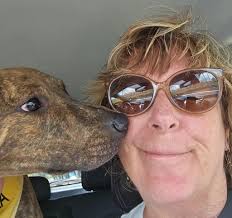 Fostering dogs in Kauai through humane society