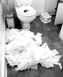 Toilet Paper Mess For Bully Dogs And Toilet Paper Bully Dog Art Inspiration Toilet
