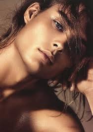 Snowed In by Aiden Bates