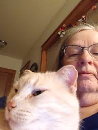 I have a question for my Indy Cat Lovers. My husband has been diagnosed  with stage 5 End Stage Renal Failure, he is 38, he has progressively gotten  worse over the past