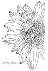 Maybe you would like to learn more about one of these? Wine Caddy Sunflower Pyrography Project By L S Irish Page 2 Lsirish Com