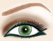 Choose eyeshadows with gold or warm brown tones. Eye Liner Wikipedia