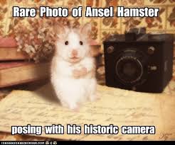 Tio x assista ao vídeo mais recente de kaio ff (@hamster_rei3). Mxlr T2hhrurom