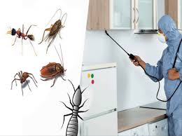 In the section pest and wildlife damage repair, a table summarizing the most important information has been added. Pest Control Service Residential Pest Control Service Service Provider From Mumbai