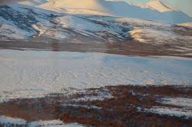 Peramban ini dirancang untuk memberikan pengalaman berselancar internet yang mudah mengunduh video menggunakan uc browser memakan waktu lebih yang lebih cepat. Photos Of The Month Wildlife Kobuk Valley National Park U S National Park Service Running Herd