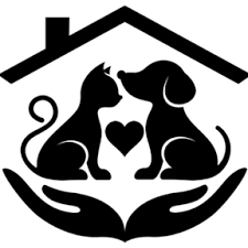 In Home Pet Sitting In Glocester Rhode Island